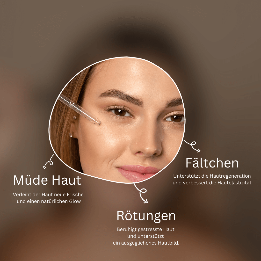 Revitalizing Day Care