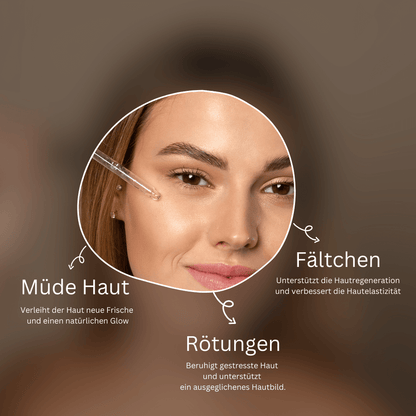 Revitalizing Day Care